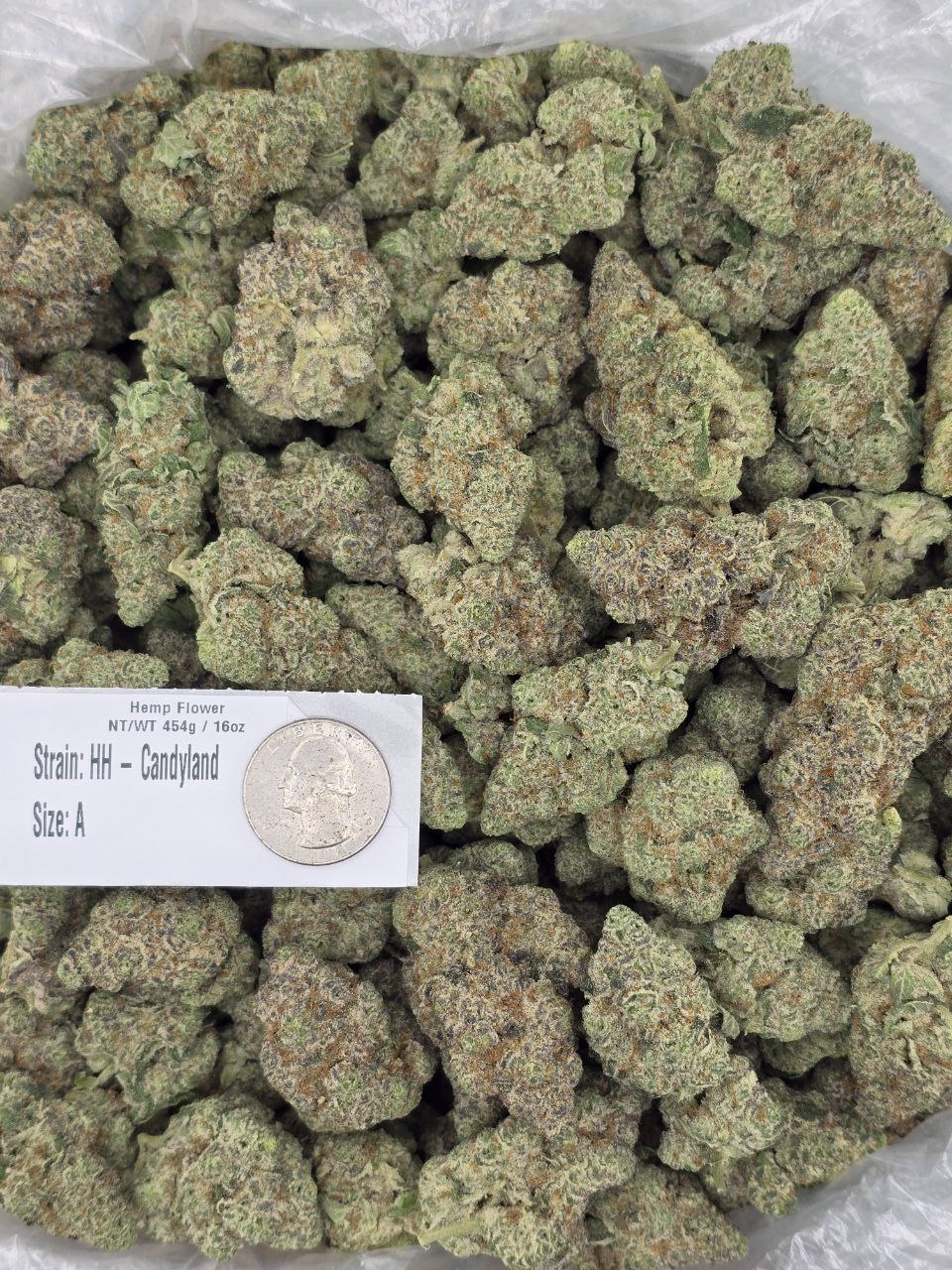 HH - Candyland