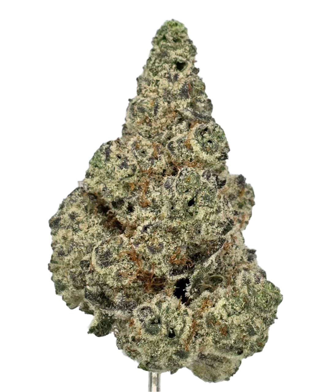 HH - Candyland