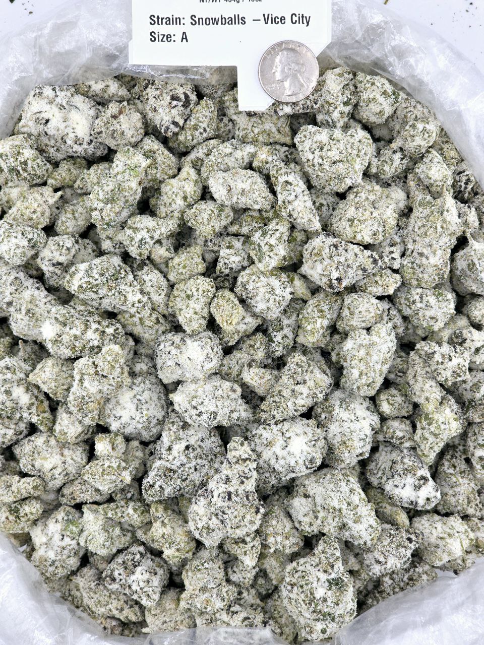 Snowballs - Vice City