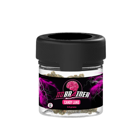 No Brainer 3.5 gram Jar - 8 ct box - Candy Land