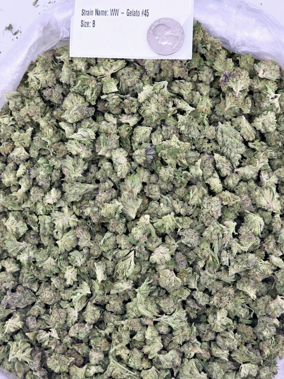 WW - Gelato 45