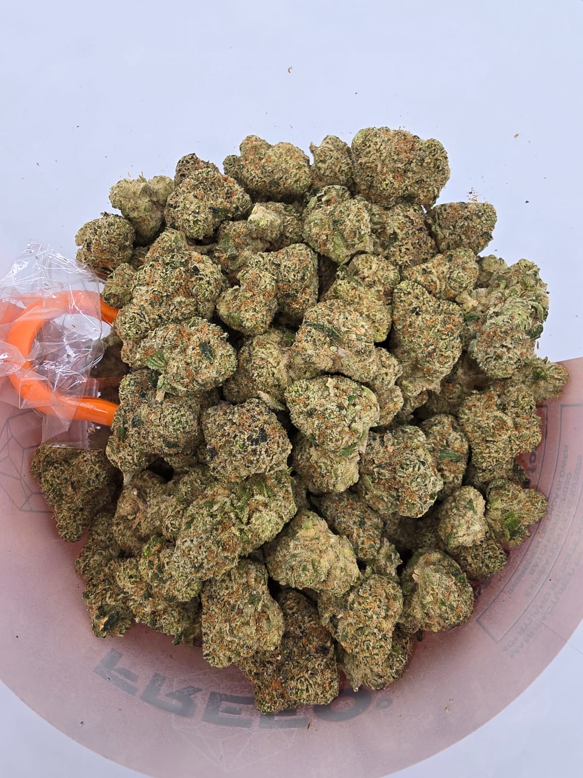 Freezo THCa Flower 112g QP Jars - Bitters