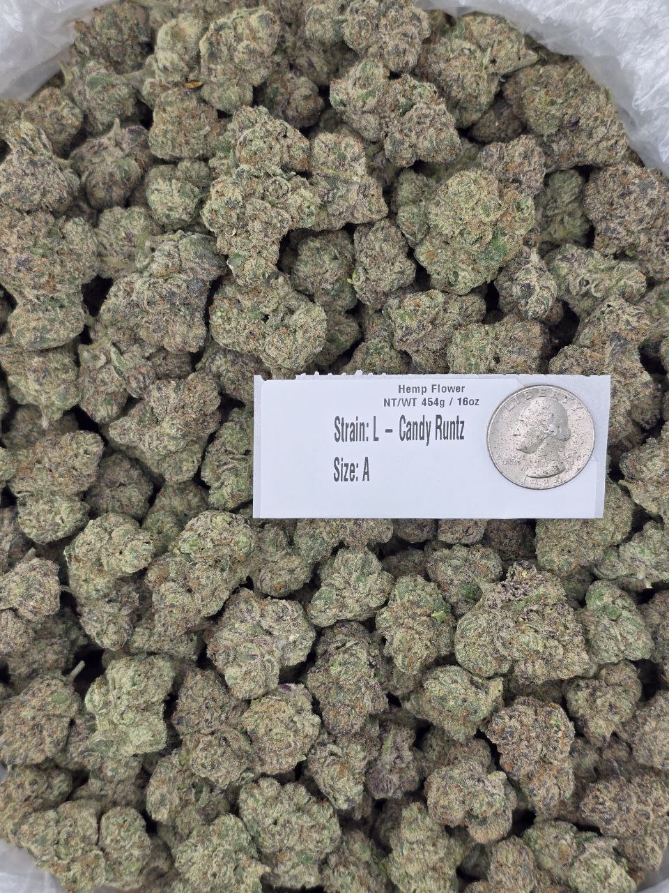 L - Candy Runtz